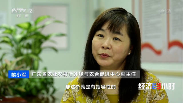扎金花app
对外经济与农合促进中心副主任 黎小军，时任工作组组长。