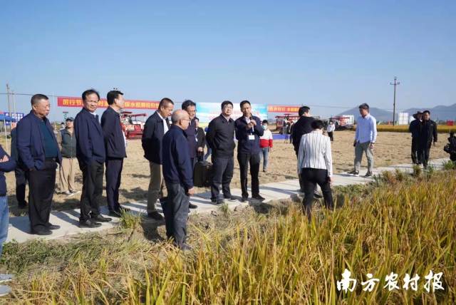 扎金花
相关负责人在大比武汕尾赛区现场指导。  南方农村报 柯学潜 拍摄