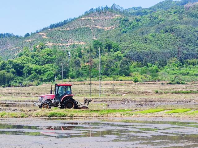 田埂上的农机与白鹭