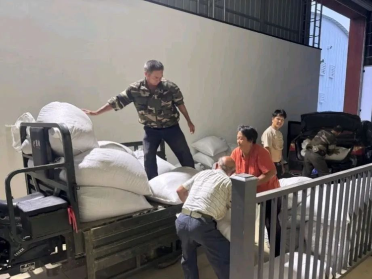 已编辑图片