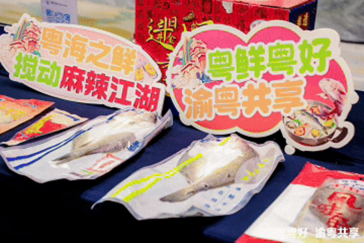 03鍔ㄥ浘.gif