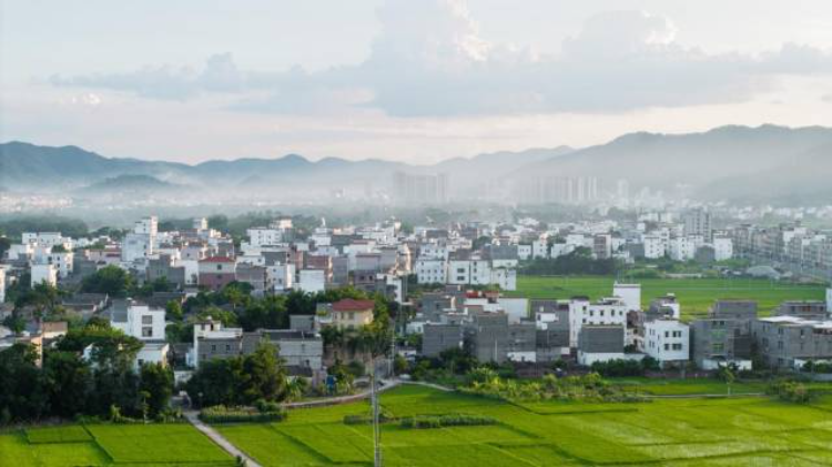 西坝村。