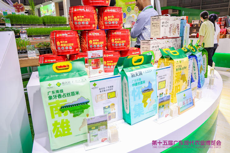图说:广东在丝苗米品种培育上取得重大突破,图为农博会现场展示的丝苗米.JPG