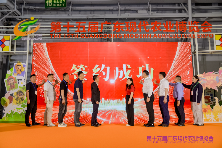 图说:活动现场举行了丝苗米与全国农产品市场定点合作商家签约.JPG
