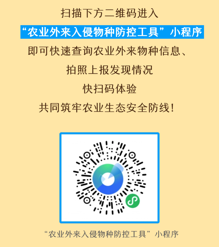 微信图片_20260422093520_836_1030.png