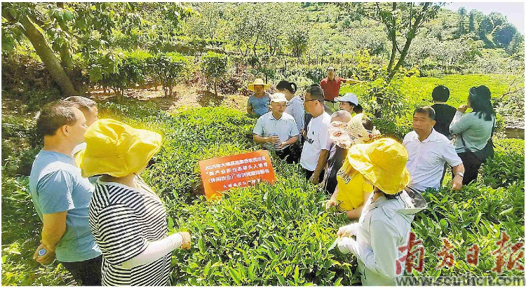 大埔县.jpg