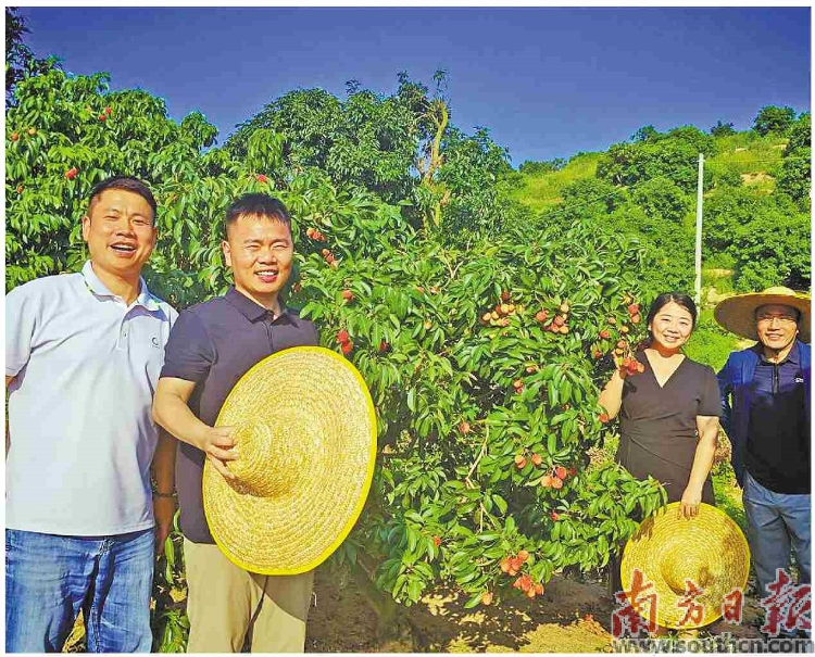 林头镇推广高接换种技术.jpg