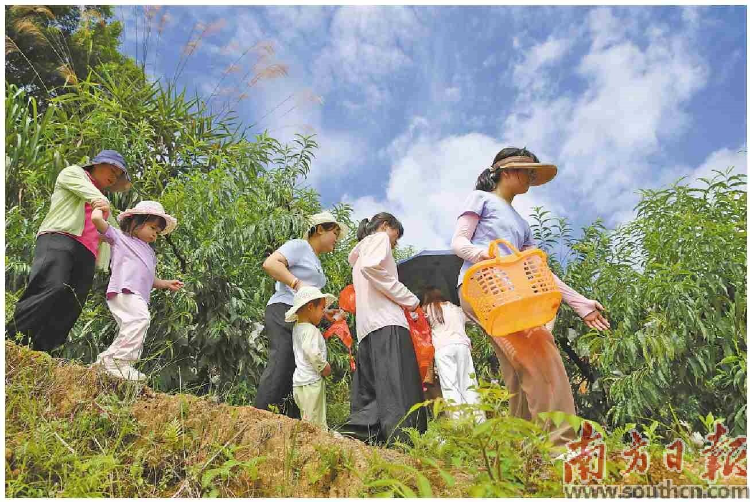 已编辑图片