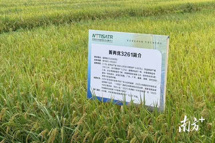 已编辑图片