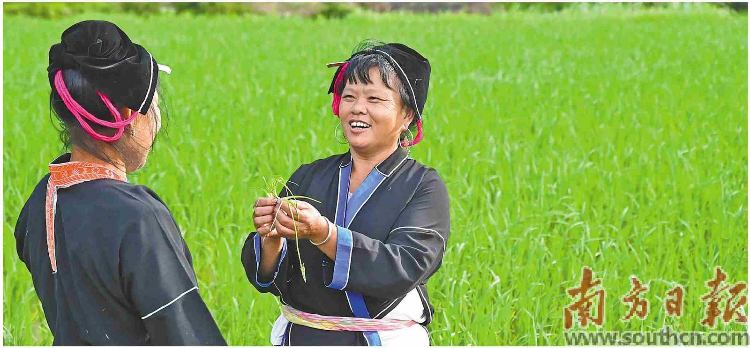 优秀.jpg