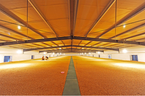 点击查看源网页