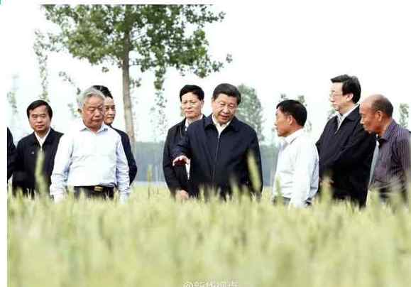 【学习小组】习近平的三农