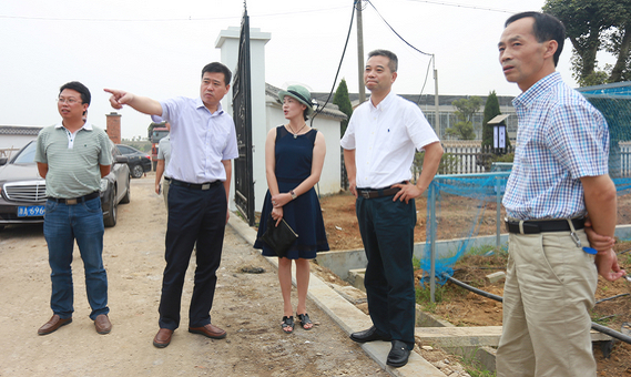 8月28日,衢江区委书记吴江平调研莲花镇现代农业园区 8月28日,衢江区委书记吴江平调研莲花镇现代农业园区